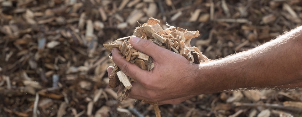 Je vous accompagne pour valoriser vos combustibles-bois